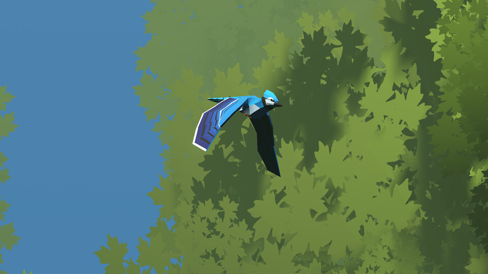 Look to the Birds: Entspanntes Vogelbeobachtungs-Spiel veröffentlicht
