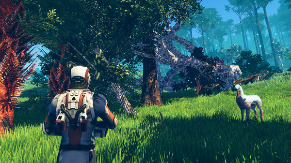 planetnomadsshot1.jpg
