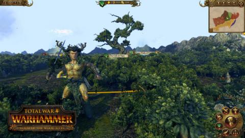 Total War: WARHAMMER Realm of the Wood Elves 