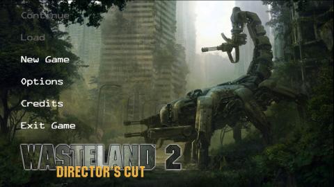 Wasteland 2 Directors Cut